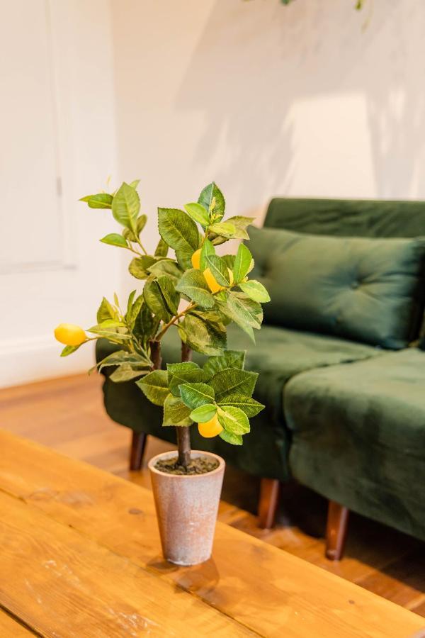 2Cq*Morden Studio Flat *Moments Away From Brighton Seafront Lägenhet Exteriör bild
